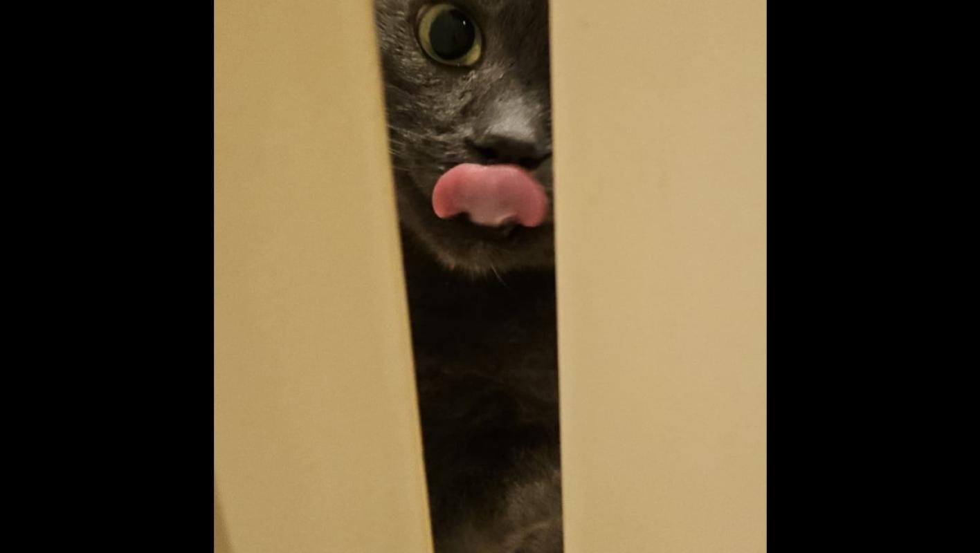 Pip