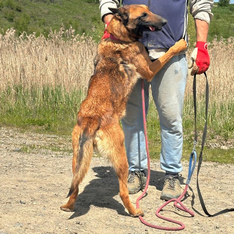 Tasta