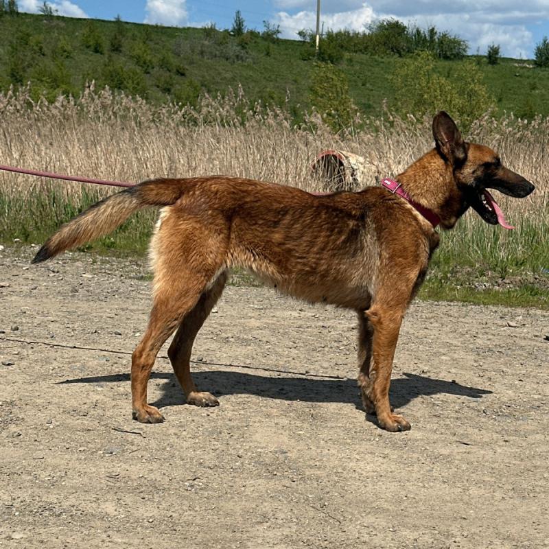 Tasta