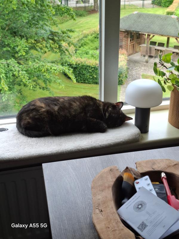 Missy