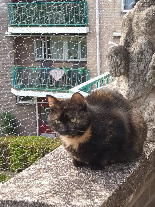 Missy