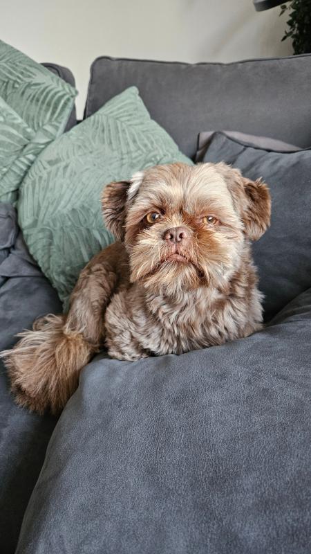 Bailey