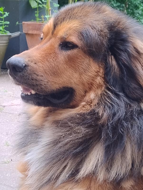 Benjie