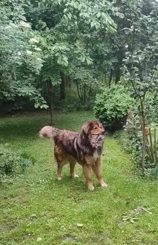 Benjie