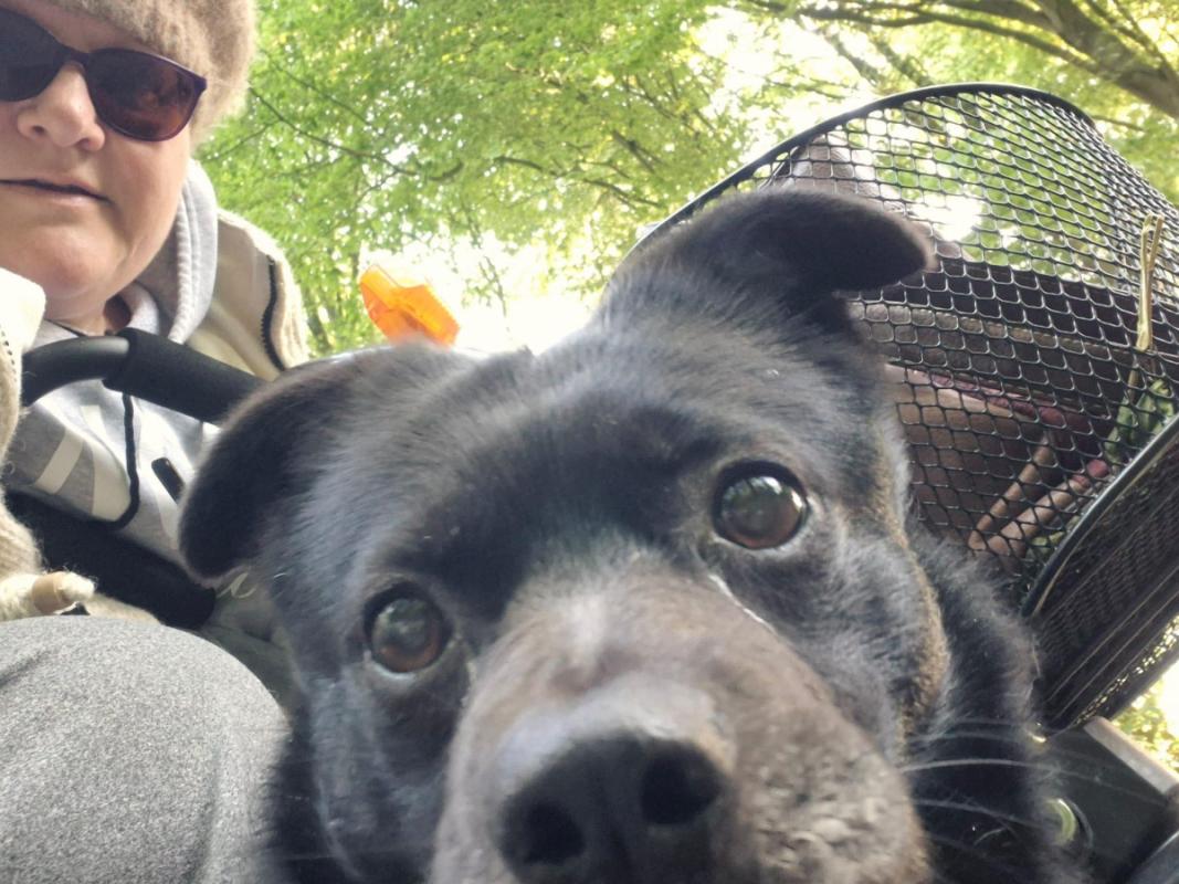 Dex