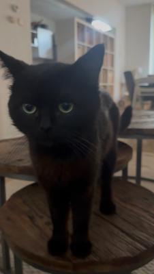 Coco