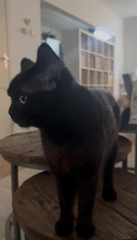 Coco