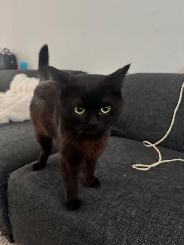 Coco