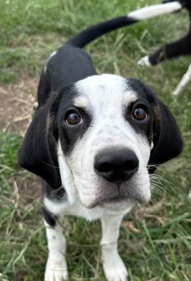 Sammy
