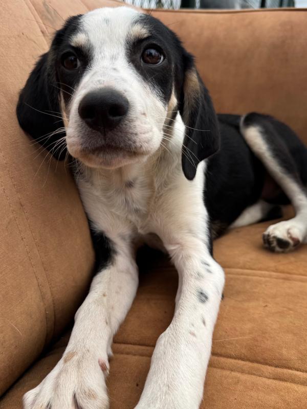 Sammy