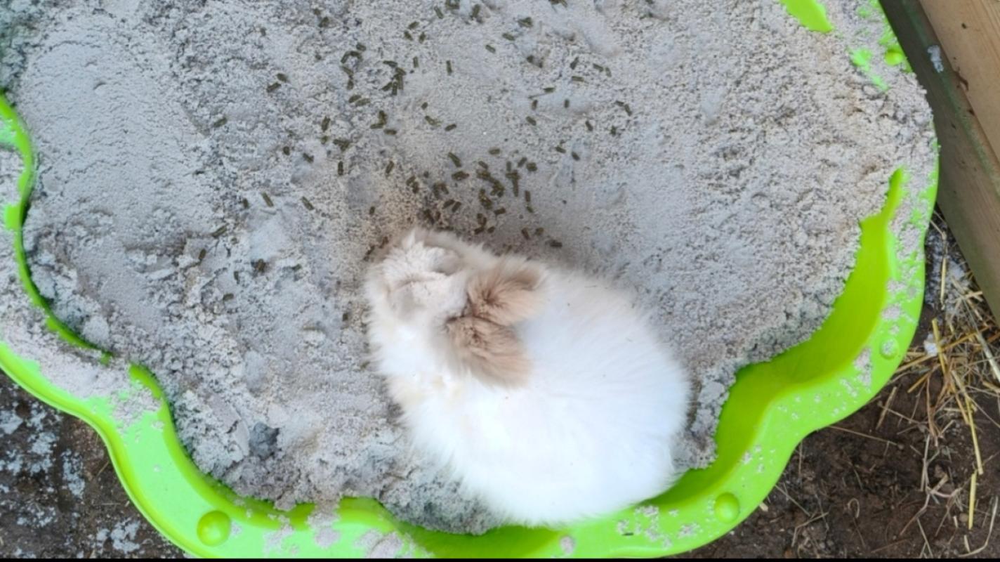 Binky