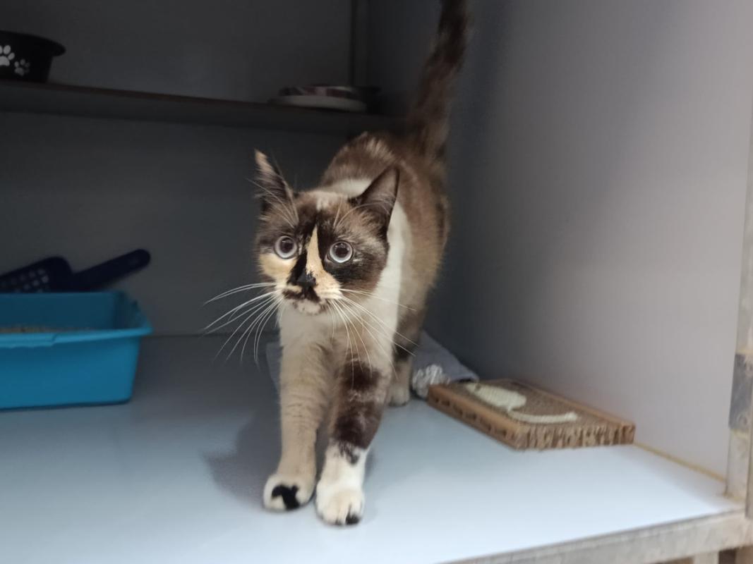 Tina