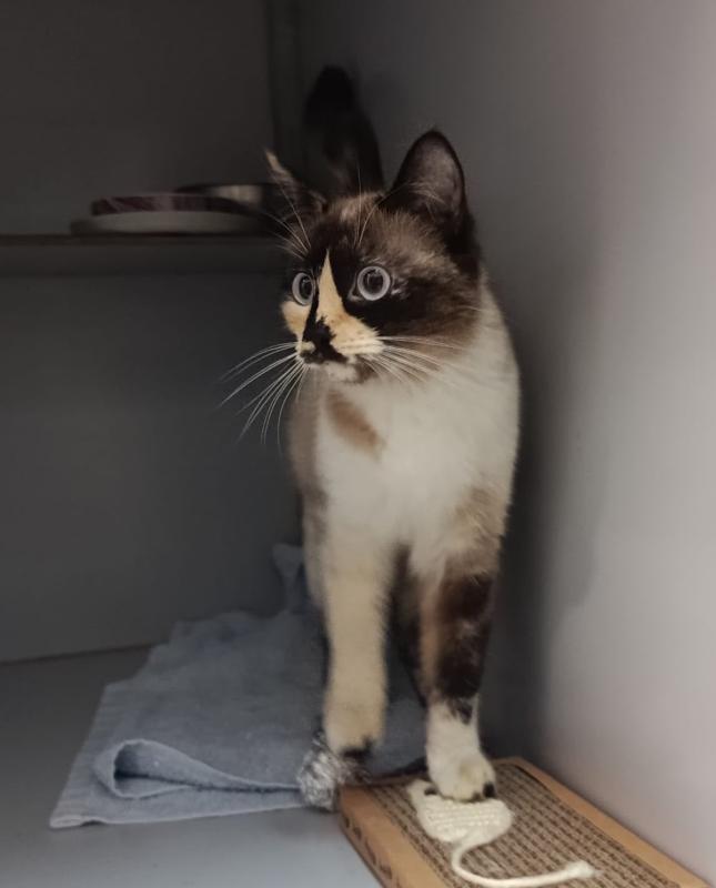 Tina
