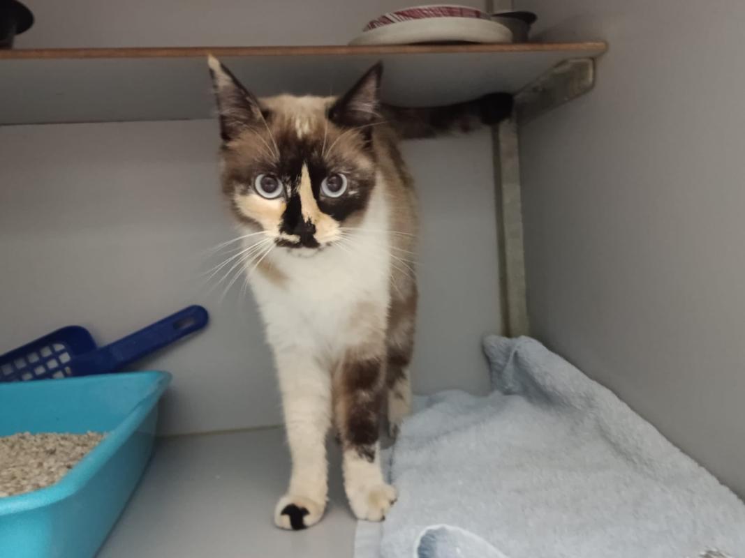 Tina
