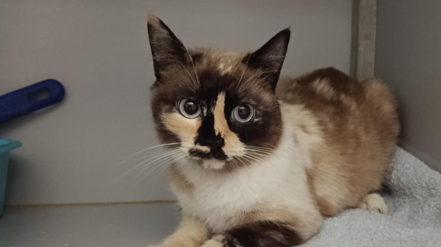 Tina