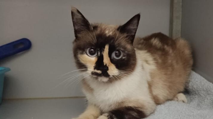 Tina