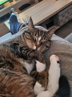 Luna