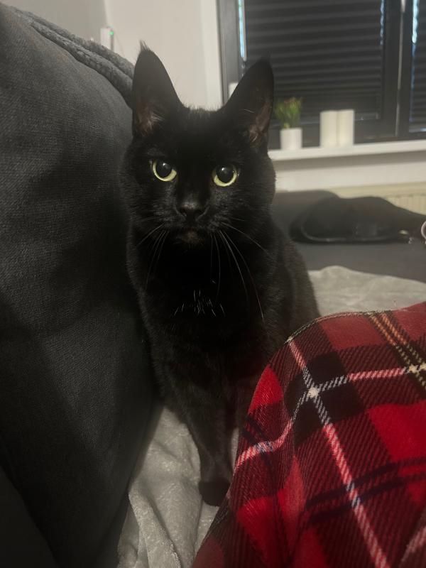 Nala