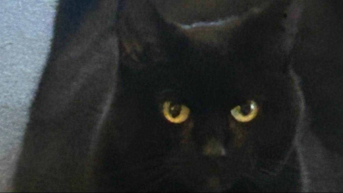 Nala