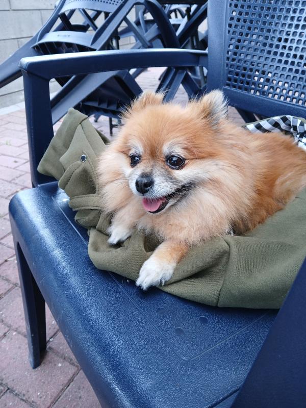 Bella