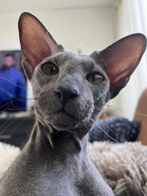 Hera