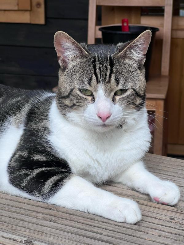 Vinnie