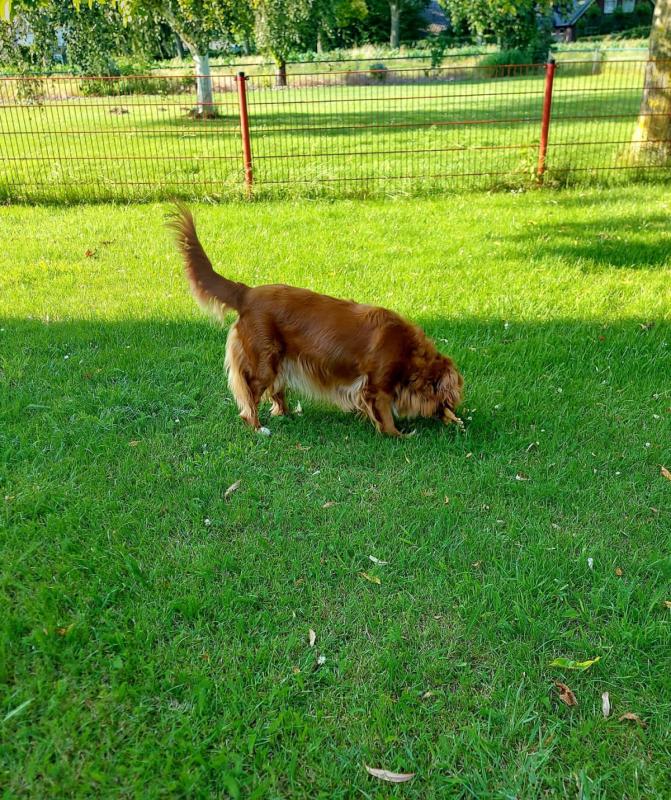 Truus