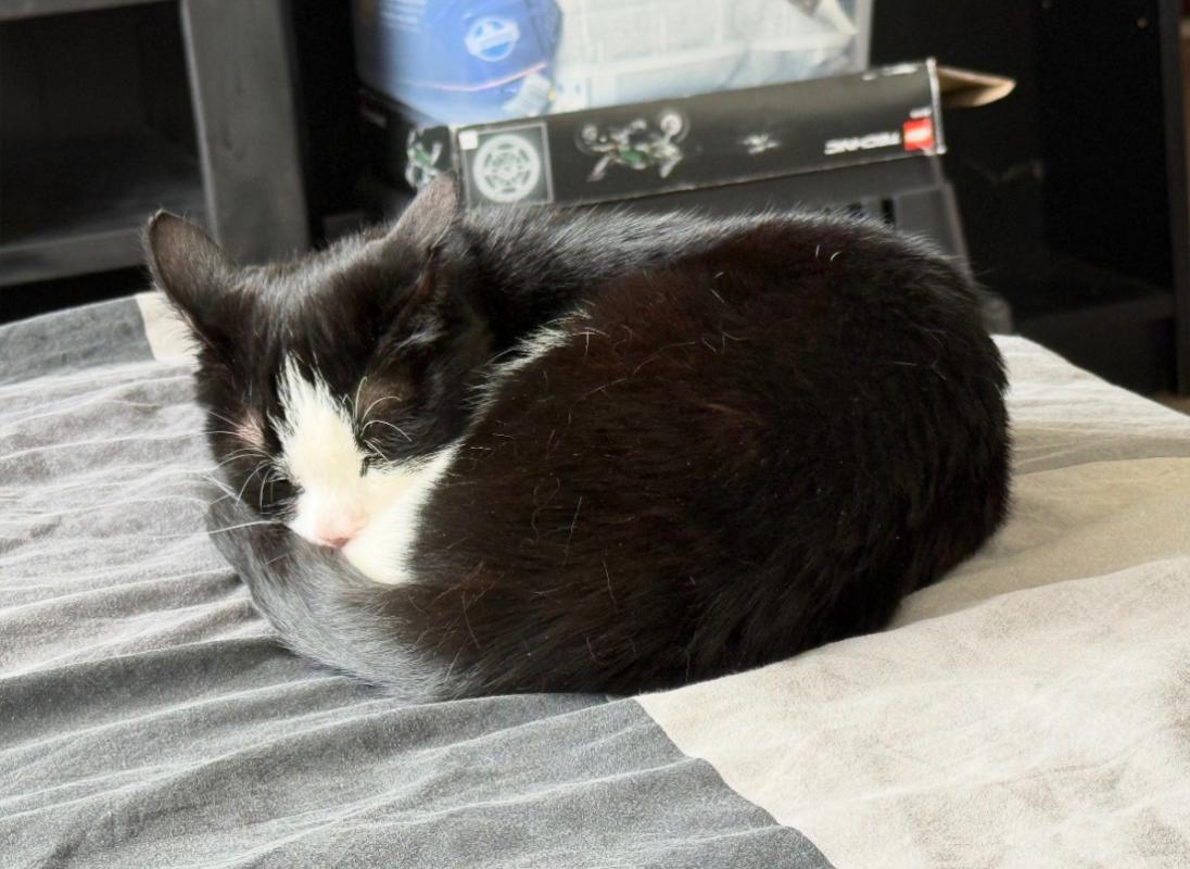Sid