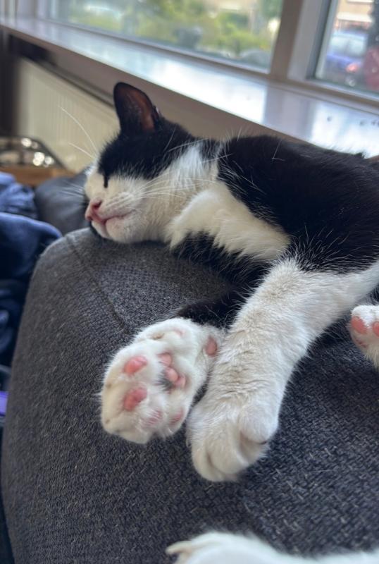 Sid