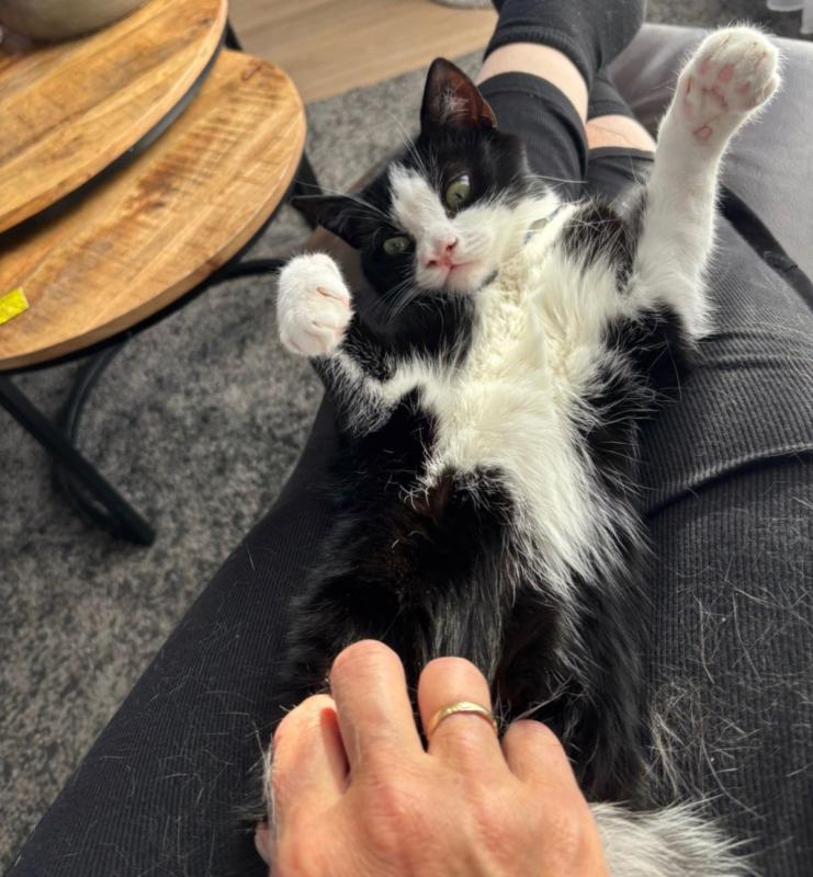 Sid