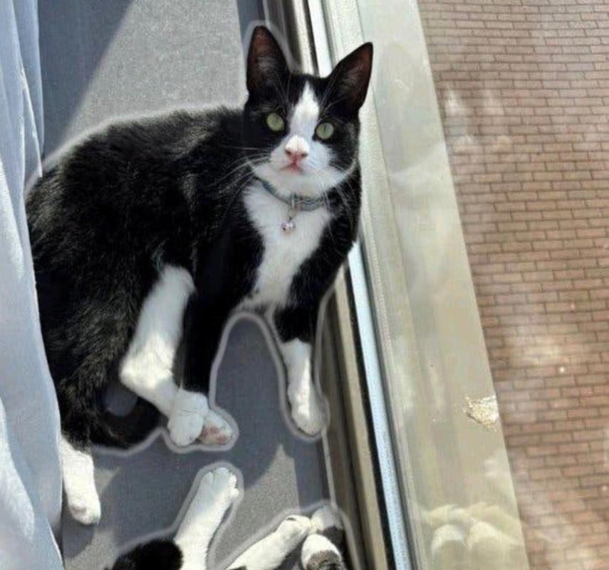 Sid