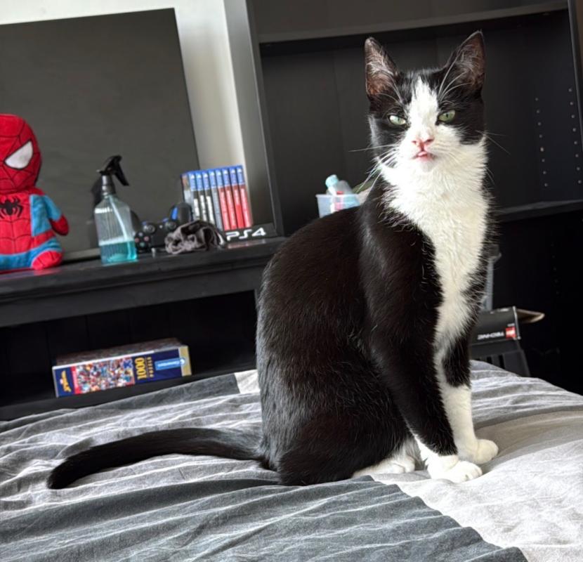 Sid