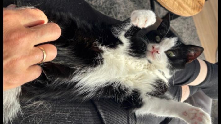 Sid