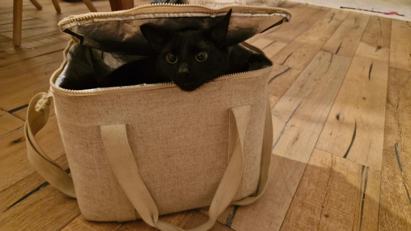Coco