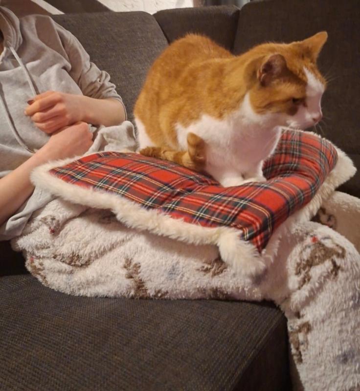 Keesje