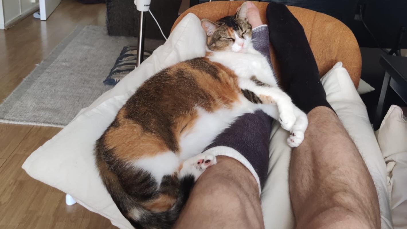 Lola