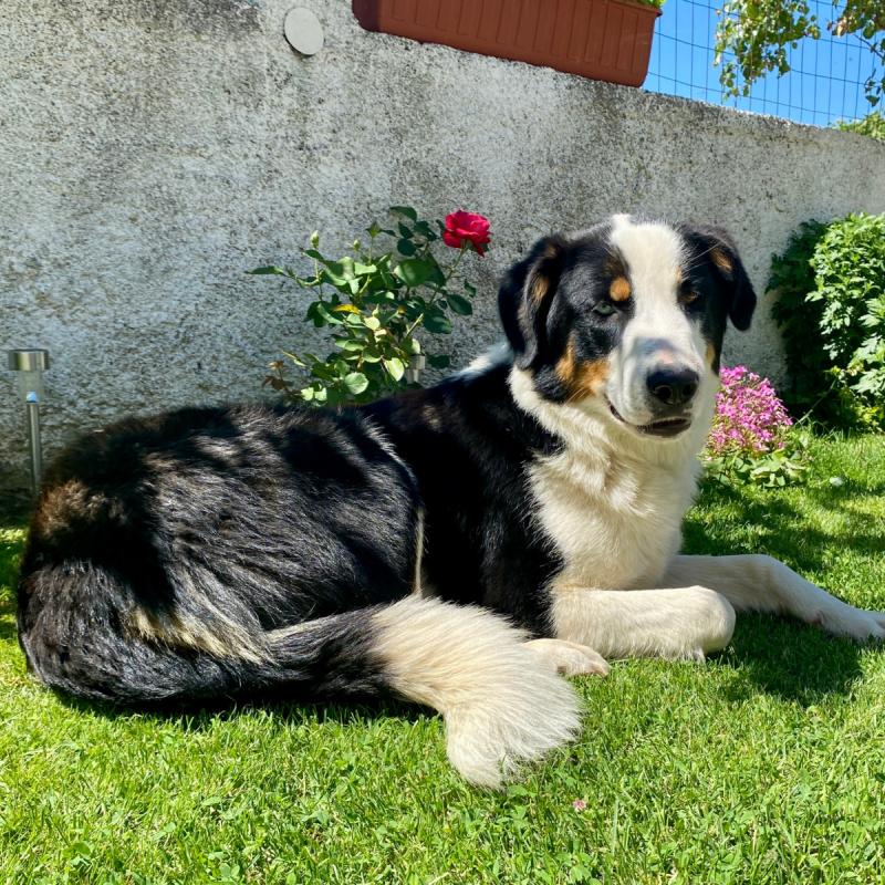 Abbey