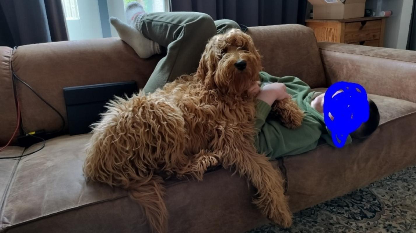 Rudolph