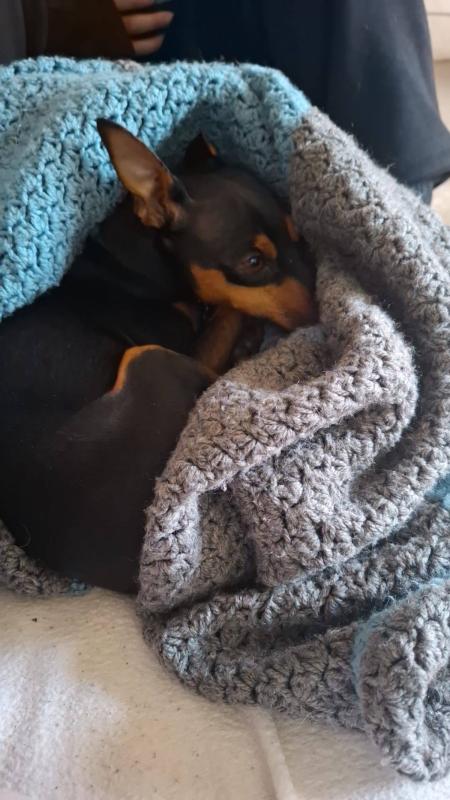 Otis