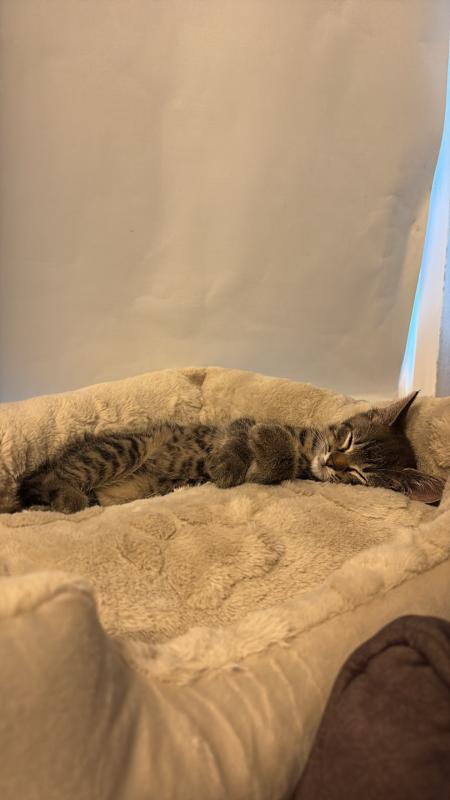 Zuko