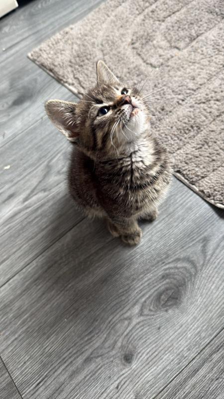 Zuko