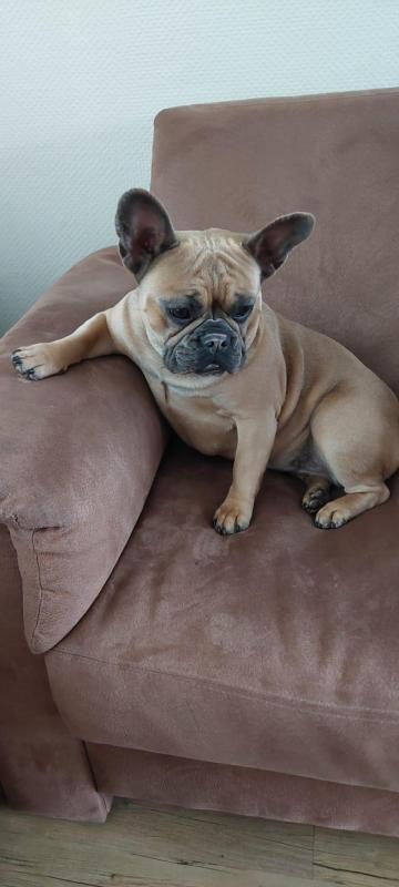 Bella