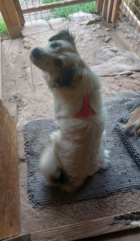 Lucy