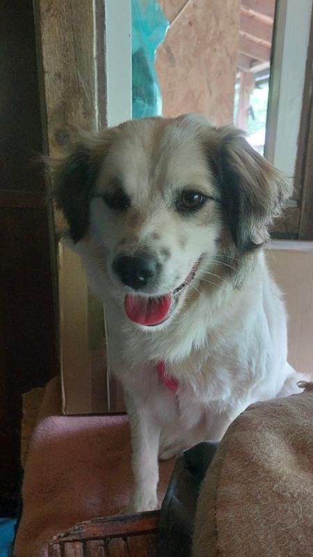 Lucy