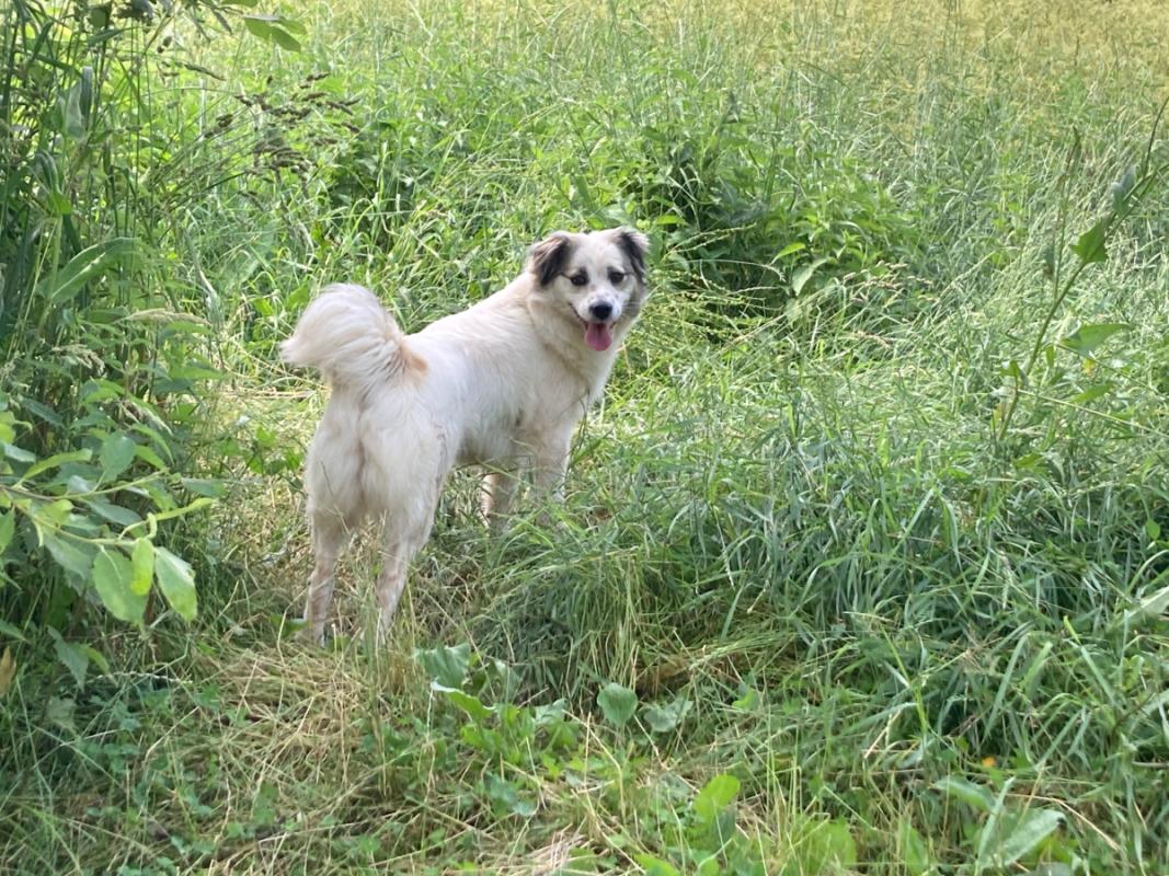 Lucy