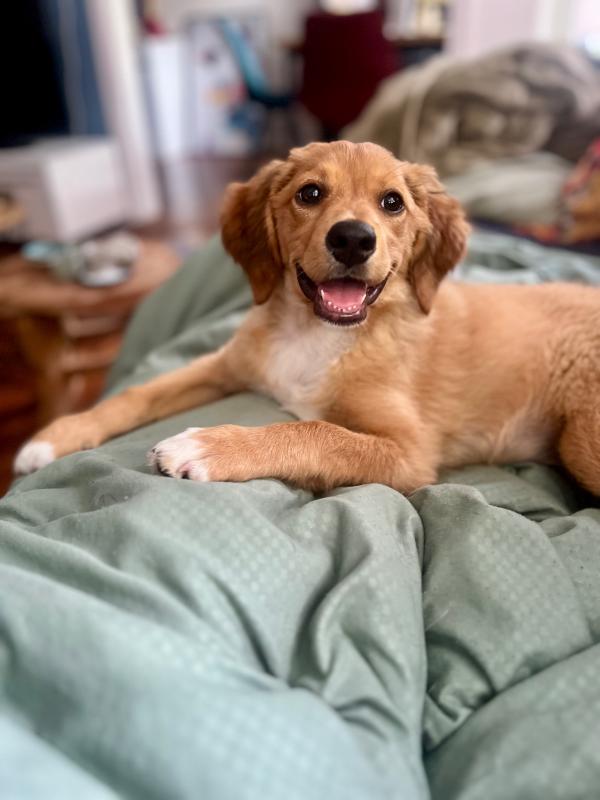 Daisy
