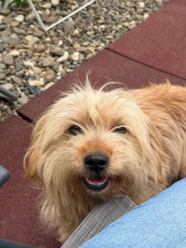 Rosie