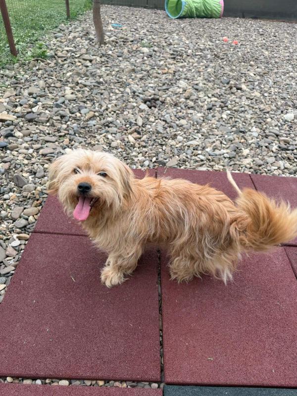 Rosie