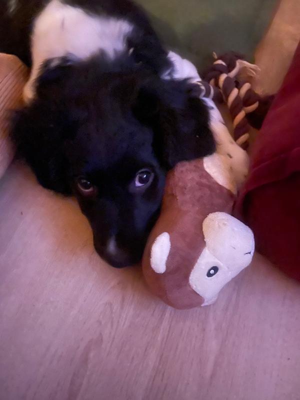 Sam