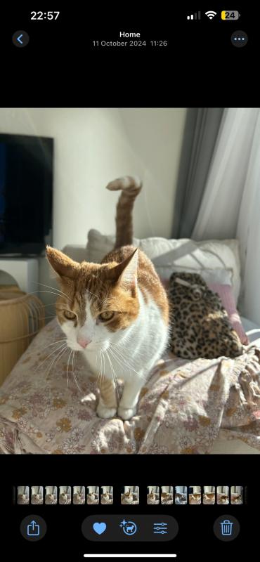 Billy